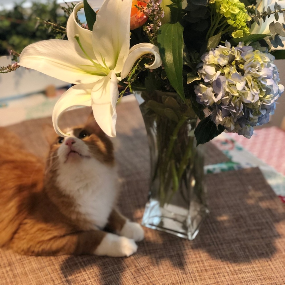 Meet your Posher, Katherine